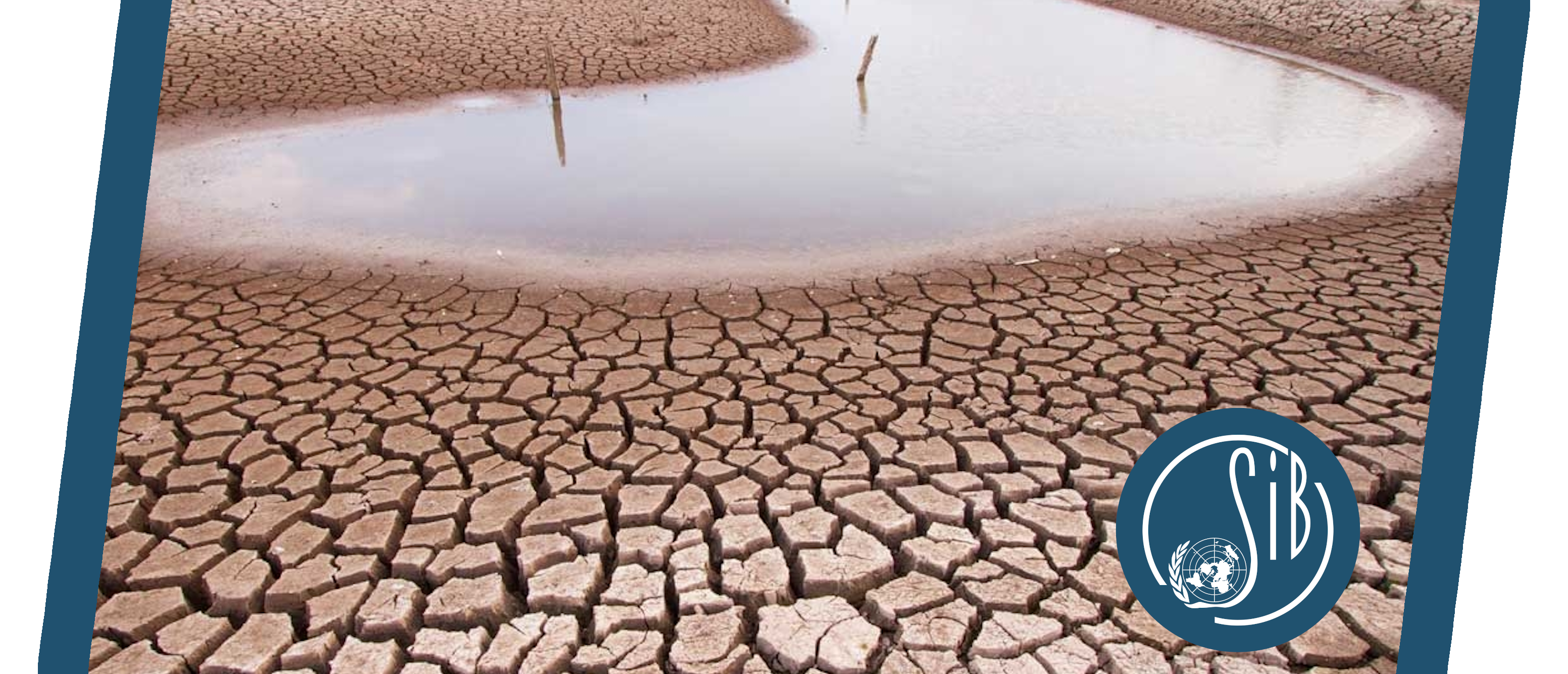 Don’t bring your raincoat: Drought in the Netherlands