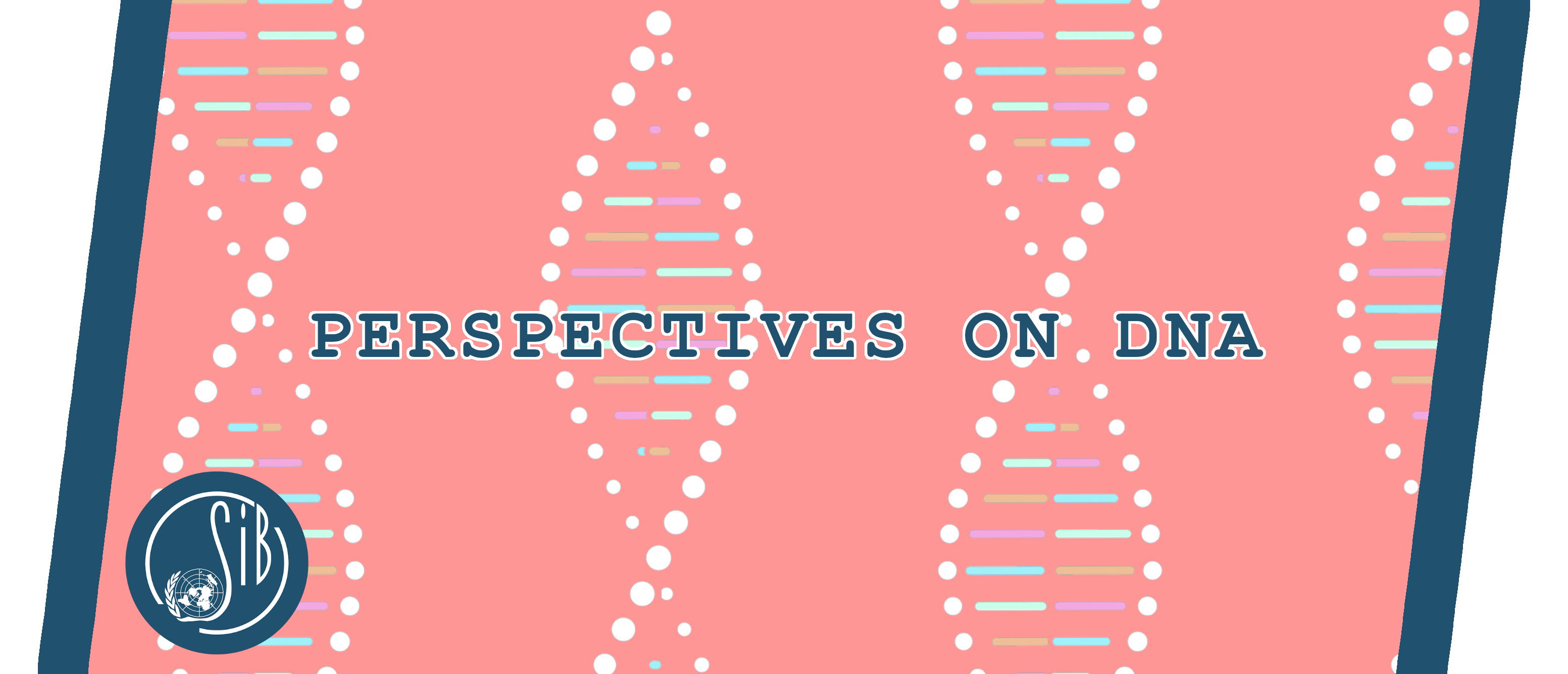 Perspectives on DNA