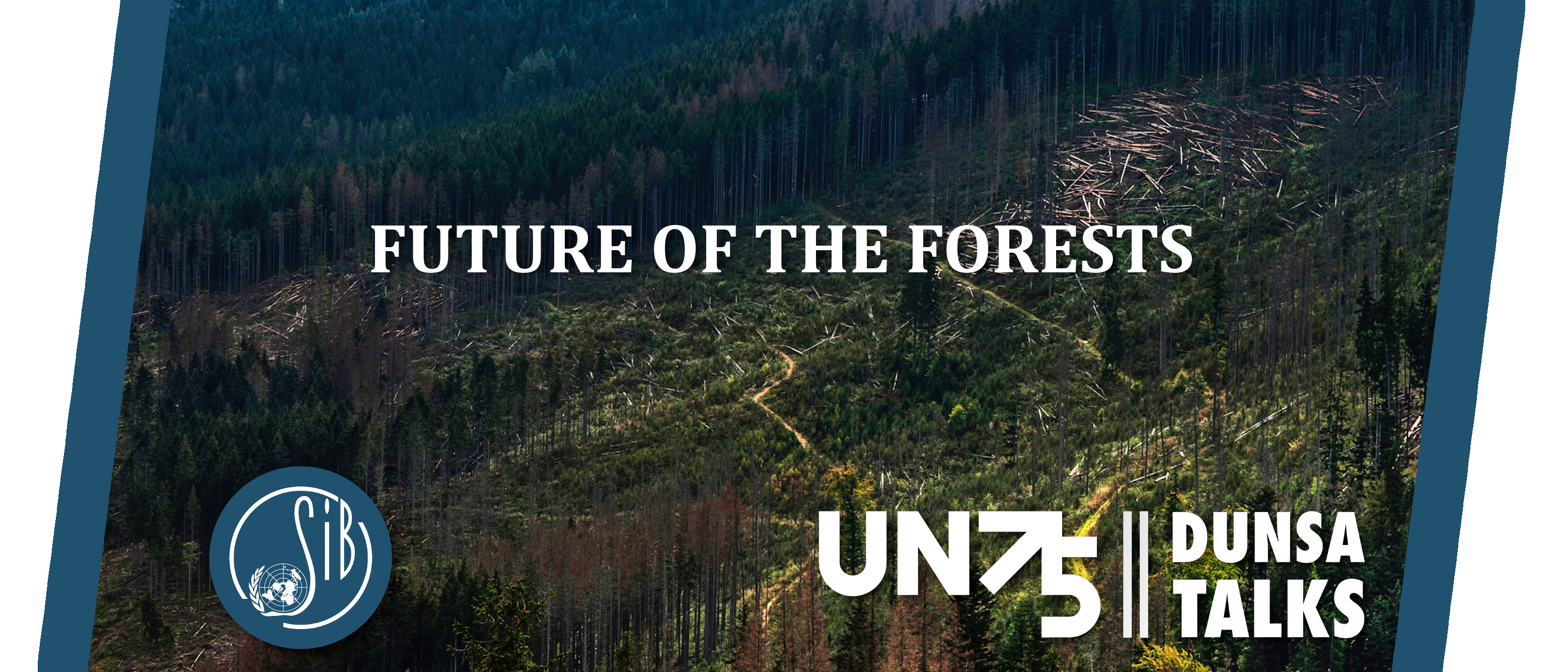 Future of the forests